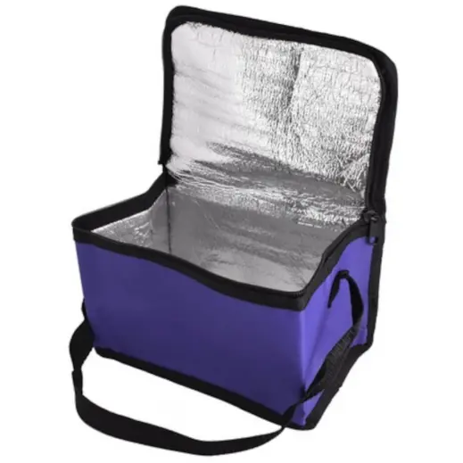 Oxford 6-Can Cooler